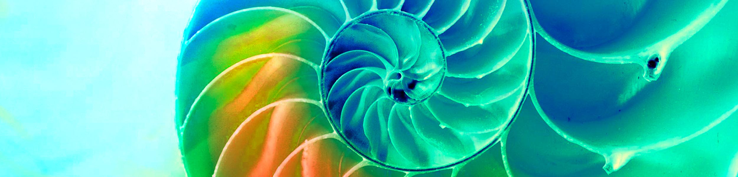 Soziales Engagement - FBB Formenbau Buchen GmbH